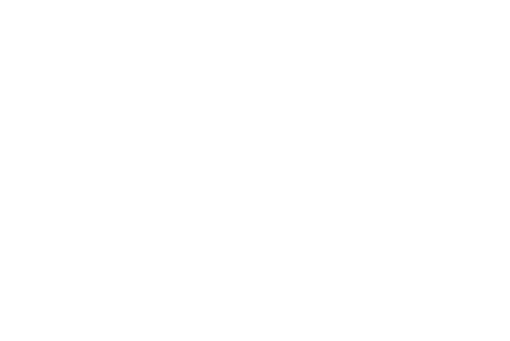 Kilgetty Performance Horses